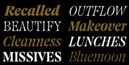Goodman elegant serif typeface by Ethan Nakache, specimen 14